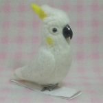 コバタン  mini♪☆選べる2タイプ☆ クリップ付ブローチorマグネット 羊毛フェルト 