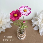 飾って楽しむ秋桜（赤）コスモス　こすもす