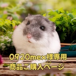 0920mex様専用うちの子お名前プレートご購入ページ