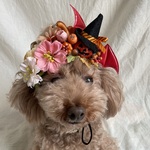 お花畑のハロウィンカチューシャ(赤デビル)