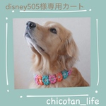 ⭐︎disney 505様専用カート⭐︎他の方のご購入はお控えください