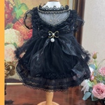 【Sサイズ1点Mサイズ1点準備中】ご検討の方はお早めにPrincessワンピース　ペット　犬服　猫服