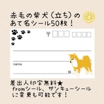 複数購入で割引☆赤毛の柴犬（立っち）の宛名シール50枚！差出人印字無料★