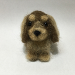 おすわりダックス