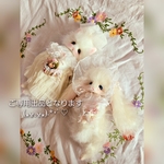 ご専用出品となります(⁎ᴗ͈ˬᴗ͈⁎).*･ﾟ♡垂れ耳うさぎちゃんとねこちゃん とびきりおめかし&ベッドset テディベア