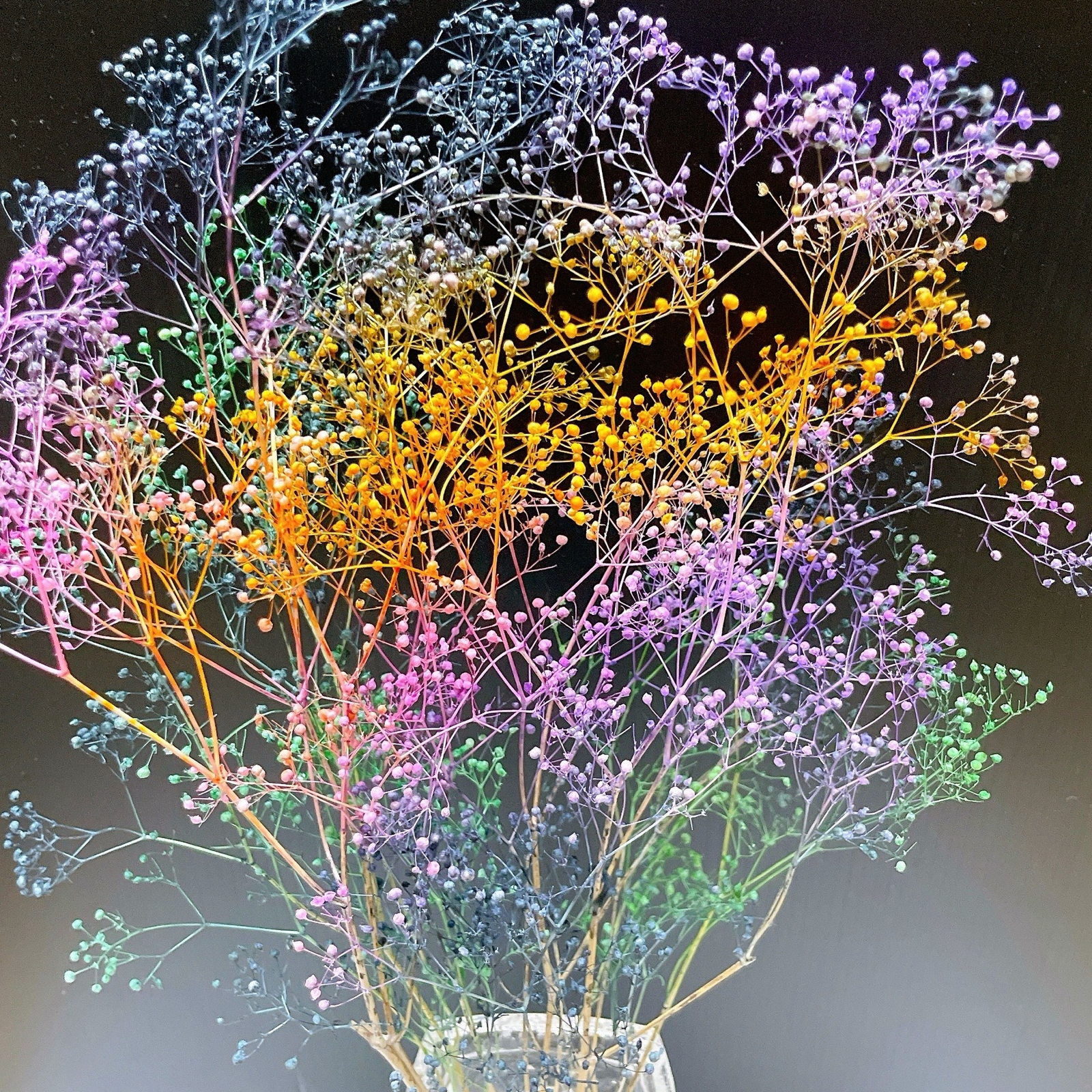 スターフラワー ミニひまわり加工🌻 - mirucoron flower | minne