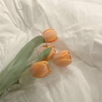 🌱maki様専用ページ🌱 𝚊𝚜𝚢𝚖𝚖𝚎𝚝𝚛𝚢 𝚘𝚛𝚊𝚗𝚐𝚎 𝚗𝚎𝚌𝚔𝚕𝚊𝚌𝚎ˊ˗
