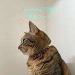 junmina729様専用ページ　木星縞模様パステルの首輪1点　ターコイズブルーの首輪1点　千鳥格子ピンクの首輪1点