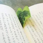ivy paper（アイビーペーパー）