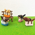 おでかけわんこ　ダックス