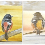 🕊️おまとめ🕊️  タップミント様