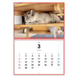【壁掛け】２０２６ななカレンダー