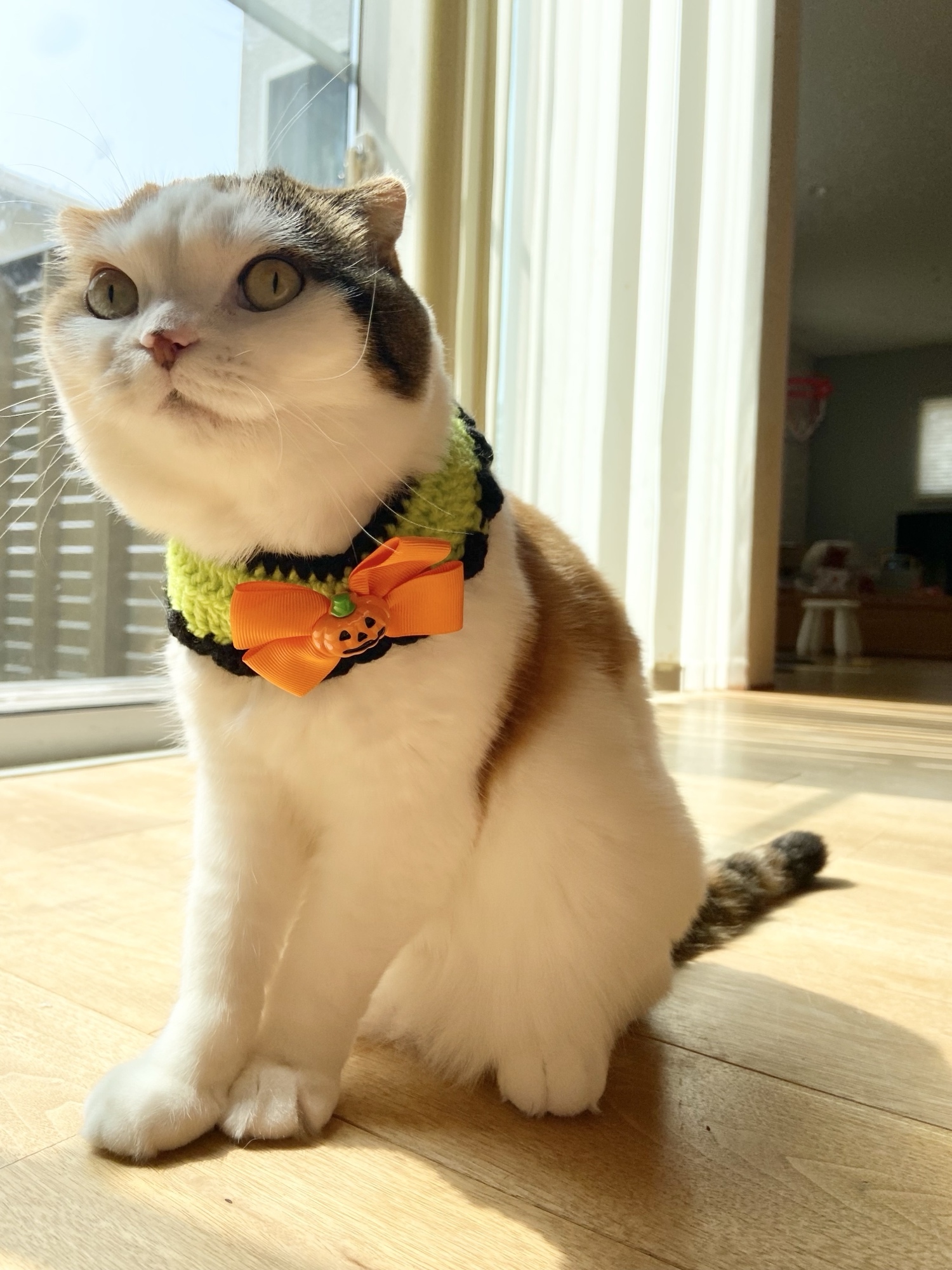 2025 干支 巳年 ヘビ② - にゃんこの毛糸屋さん | minne byGMOペパボ