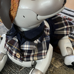 チェック柄テーラージャケット風スタイとスカパンセット（女の子用）