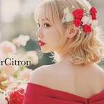 髪飾り 結婚式 成人式 赤薔薇 美女と野獣 シルバー ダイヤ 宝石 ヘアアクセサリー ローズ ヘッドドレス