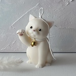 playing cat