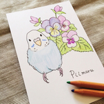 《piimaru様専用》小鳥のポストカード