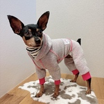 オーダー犬服 切りっぱなし風 ネック付き ロンパース