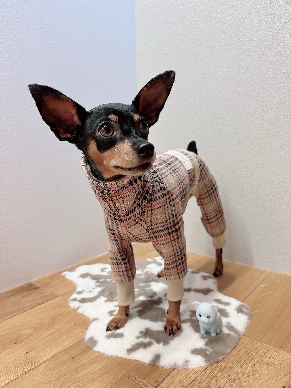 トリミングチョーカー - アクセサリーの人気通販 | minne byGMO