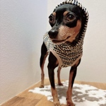 オーダー犬服 ツイードボーダー フーディタンクトップ