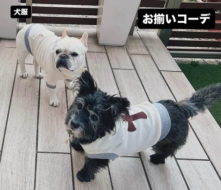 フレブル服 - ウェアの人気通販 | minne byGMOペパボ 国内最大級