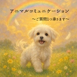 ペットロス経験者です〜アニマルコミュニケーション〜大切なペットちゃんと、心を通わせるひととき〜【質問１つ】