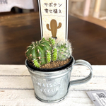 アンティーク風ブリキ鉢　マグ型　アンティーク　サボテン寄せ植え　マット黒ポット　サボテン　多肉植物　シルバーカラー