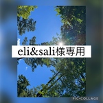 【eli&sali様専用】開閉式ディスプレイ棚　什器　陳列棚　飾り棚　シェルフ　イベント　出店