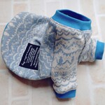 《即売品》ラグランカットソー・゜・シーパラ・゜・