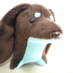 耳長ダックス　チョコミント