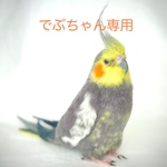 でぶちゃん専用ページです