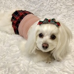 犬リボン　秋色チェック　トリプルリボン　JDバレッタ