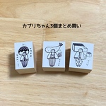 【お1人様1SET】カプリちゃん3個まとめ買い
