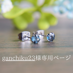 ganchiku23様専用ページ