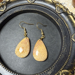 フォッシルコーラルピアス