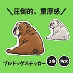 わがままボディ♡ブルドッグステッカー｜全2色／防水タイプ
