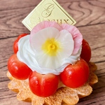 【フェイクスイーツ】さくらんぼのタルト/土曜のうさぎ
