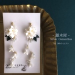 銀木犀の揺れる耳飾り