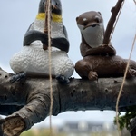 momoka-n様専用ページ