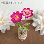 飾って楽しむ秋桜（赤）コスモス　こすもす