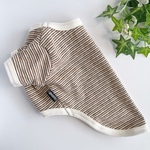 犬服　モカブラウンボーダーTシャツ