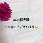 aaay様専用