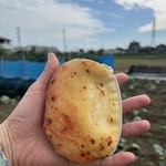 じゃがいもポーチ🥔