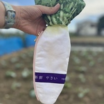 大根ポーチ🌱