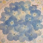♡new♡紫陽花の押し花セット♡