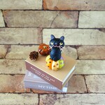 10月の黒猫