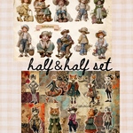 half＆half set  各5枚ずつの10枚