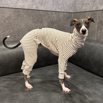 ボーダーリブニットのロンパース