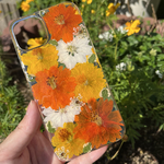 オレンジとイエローの黄花コスモスの押し花スマホケース　　全機種対応　iphone/GALAXY/AQUOS/xperia/pixel