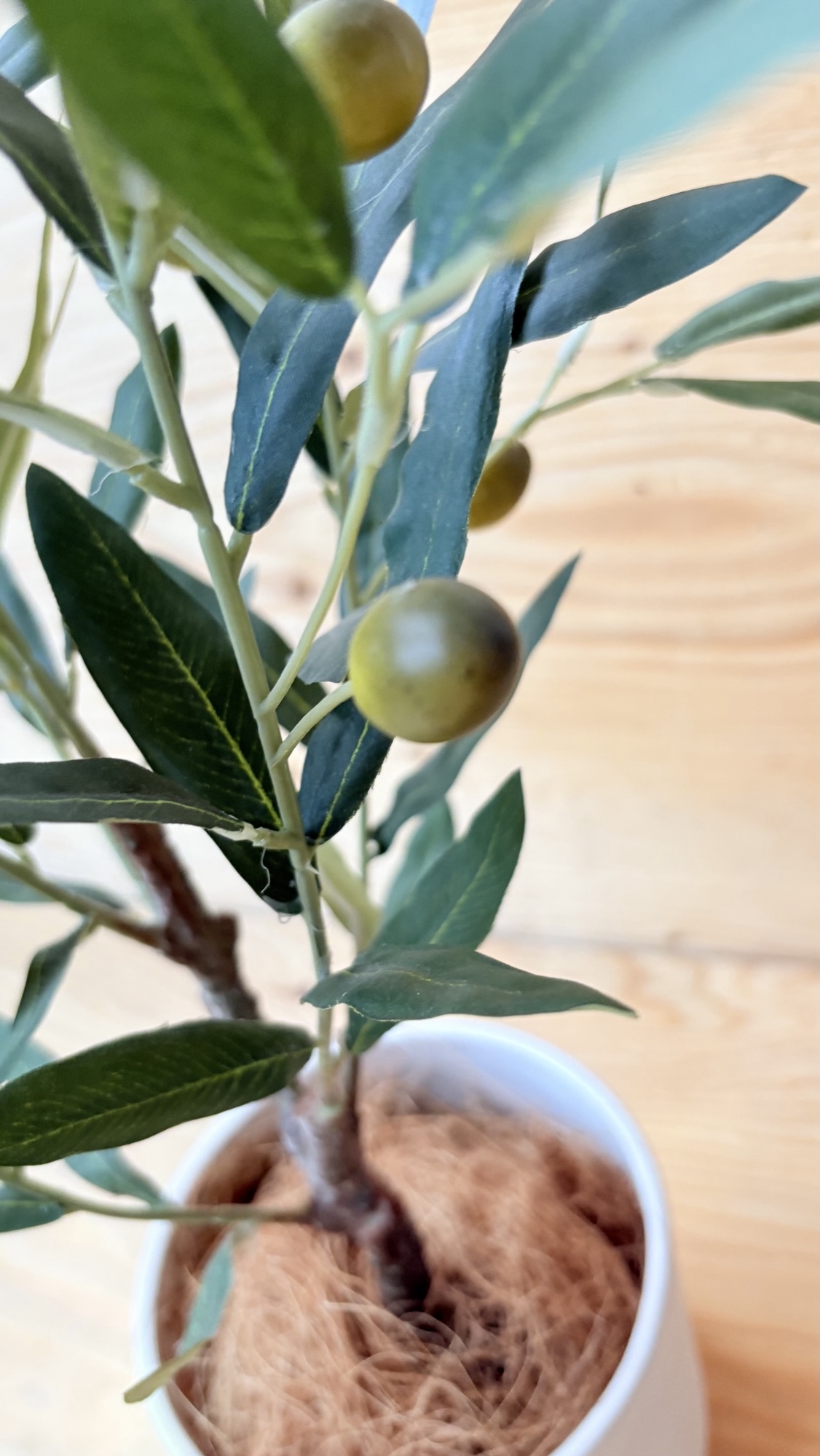 一番人気　限定一点になりました！　　観葉植物　オリーブの木　オリーブ実　観葉植物のある暮らし　リアルオリーブ　　再販なし　　フェイクグリーン　アーティフィシャルグリーン　人口植物　お洒落インテリア